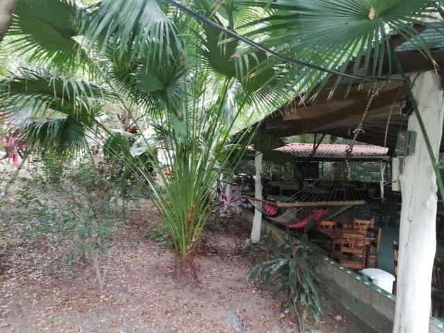 Hotspring Resort for sale in Salitral, Cold and Warm spring swimming pools surrounded by teak and eucalyptus rustic cabins - Gallery image 5