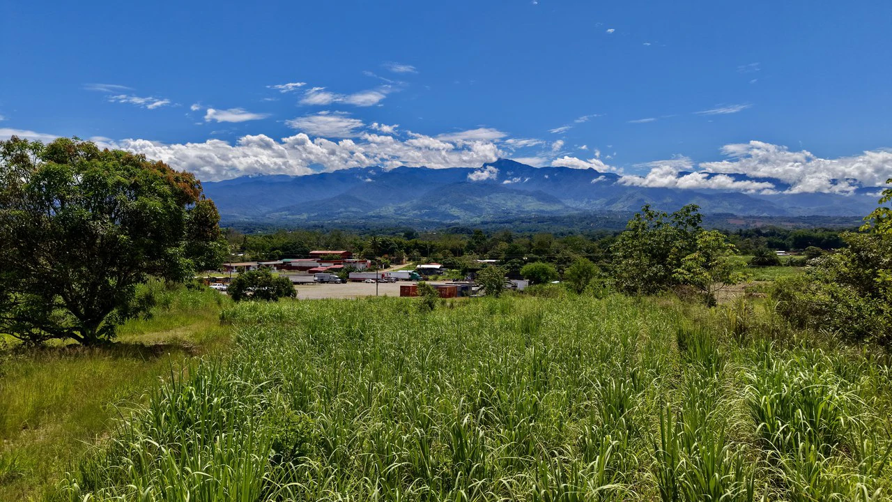 Development Parcel For Sale in Daniel Flores - Gallery image 7