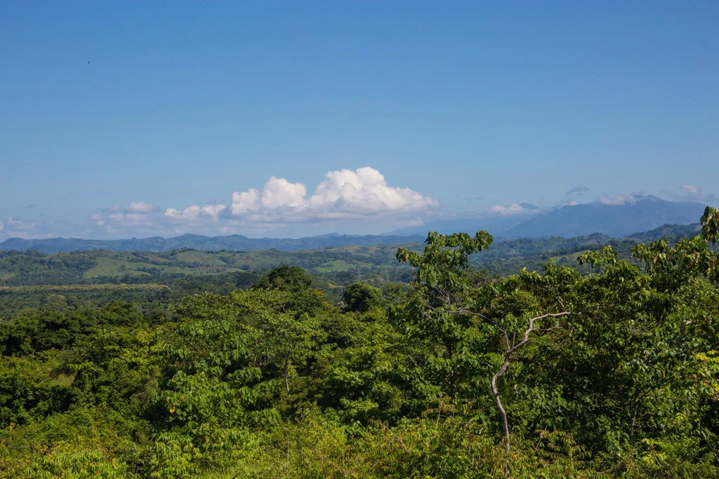 Casa Vista Hermosa: Nature refuge near Manuel Antonio National Park - Gallery image 15