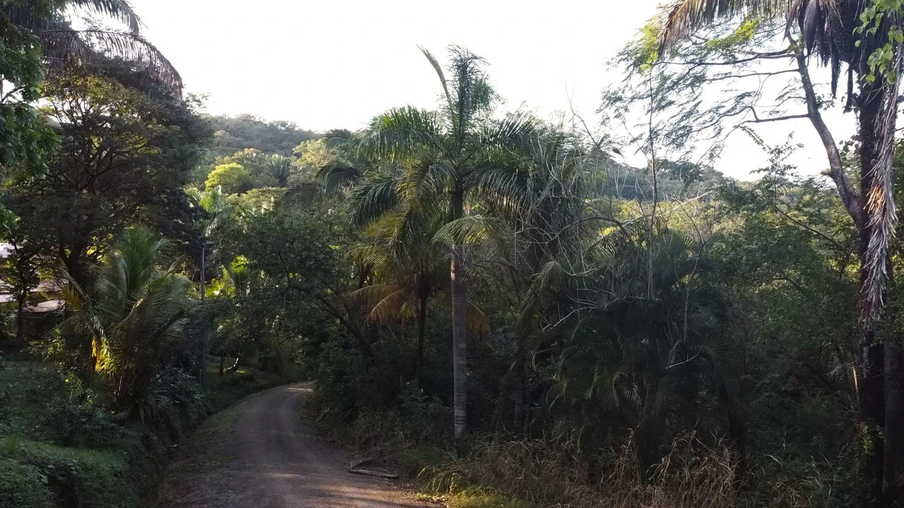 Gated Community Jungle View Lot: Near the Coast Home Construction Site For Sale in Sámara - Gallery image 10