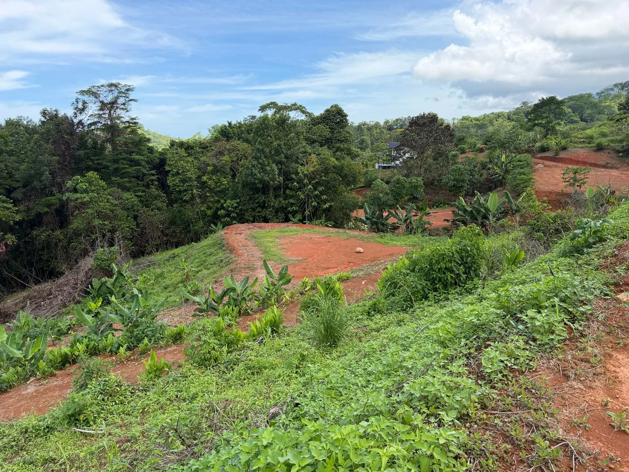 Near the Coast Home Construction Site For Sale in Pavon - Gallery image 5