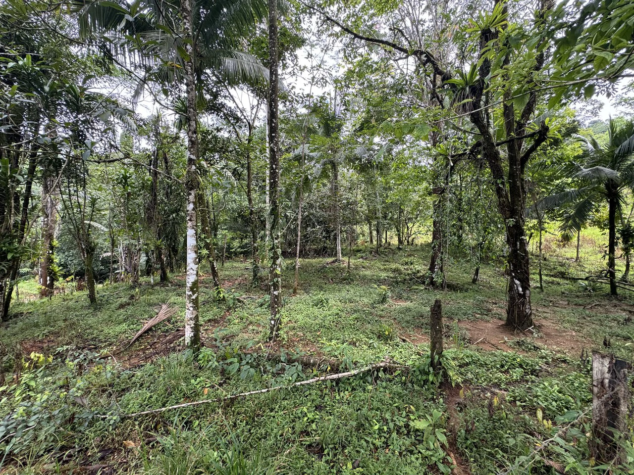 19 Acre Riverfront Lot with Private Waterfall la Perla Dominical - Gallery image 5