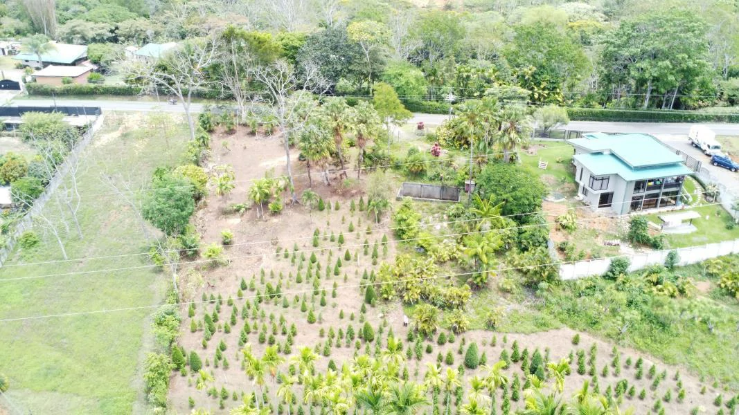 Propiedad en La Bonita Emma-137480: Mountain and Countryside Home Construction Site For Sale in San Isidro del General - Gallery image 9