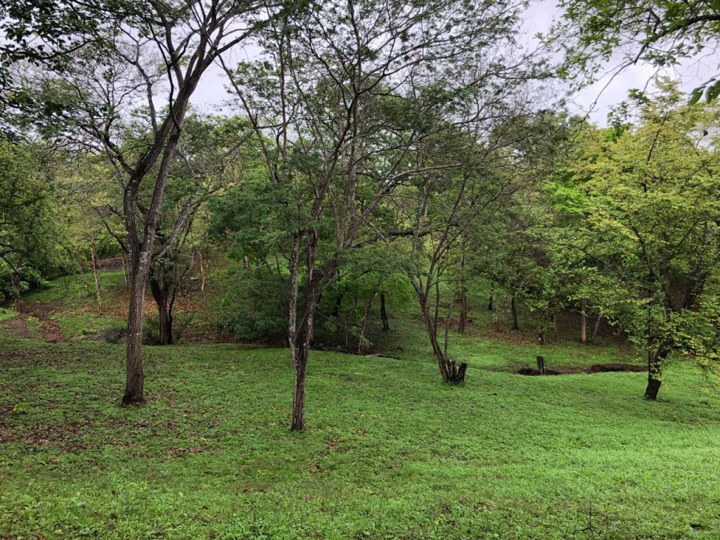 Lot in exclusive Residential, close to Beach Tamarindo - Gallery image 34