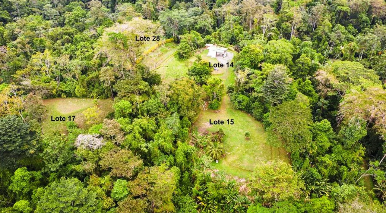 ID 4202: Affordable Lot inside the Gated Community with Owner Financing available - Gallery image 5