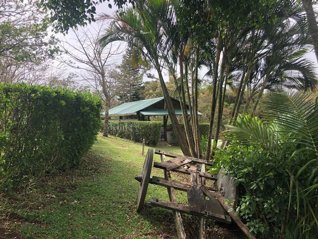 TURNKEY SOLUTION ECO MOUNTAIN LODGE FOR SALE - Gallery image 34