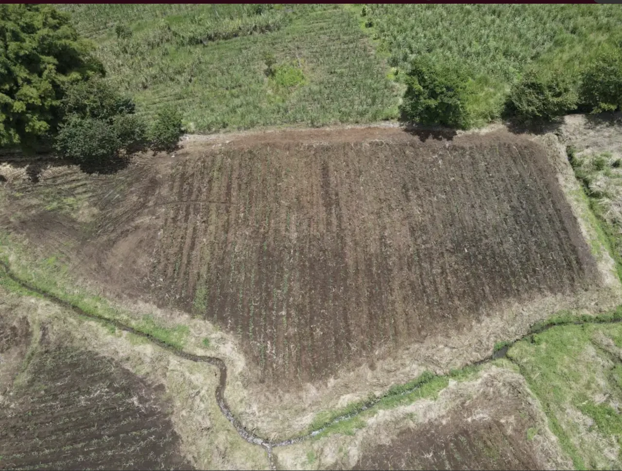 LAND FOR SALE, ALAJUELA, GRECIA