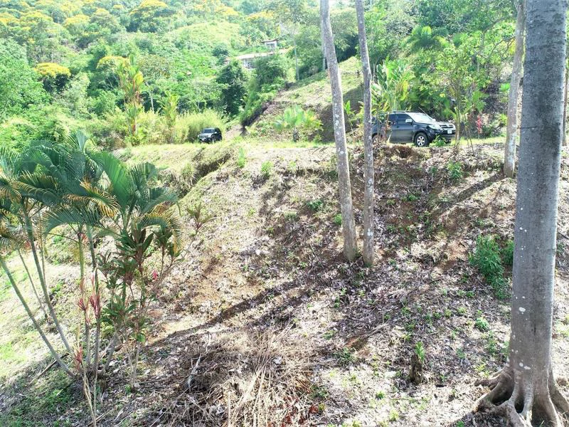 Captivating 3.15-Acre Property: Huge Pricedrop! Firesale Oceanview Lot in Tres Rios - Gallery image 14