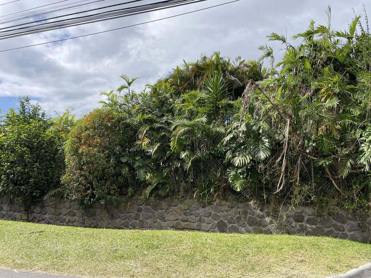 Location Location Location. Coronado, San José, Costa Rica - Gallery image 11