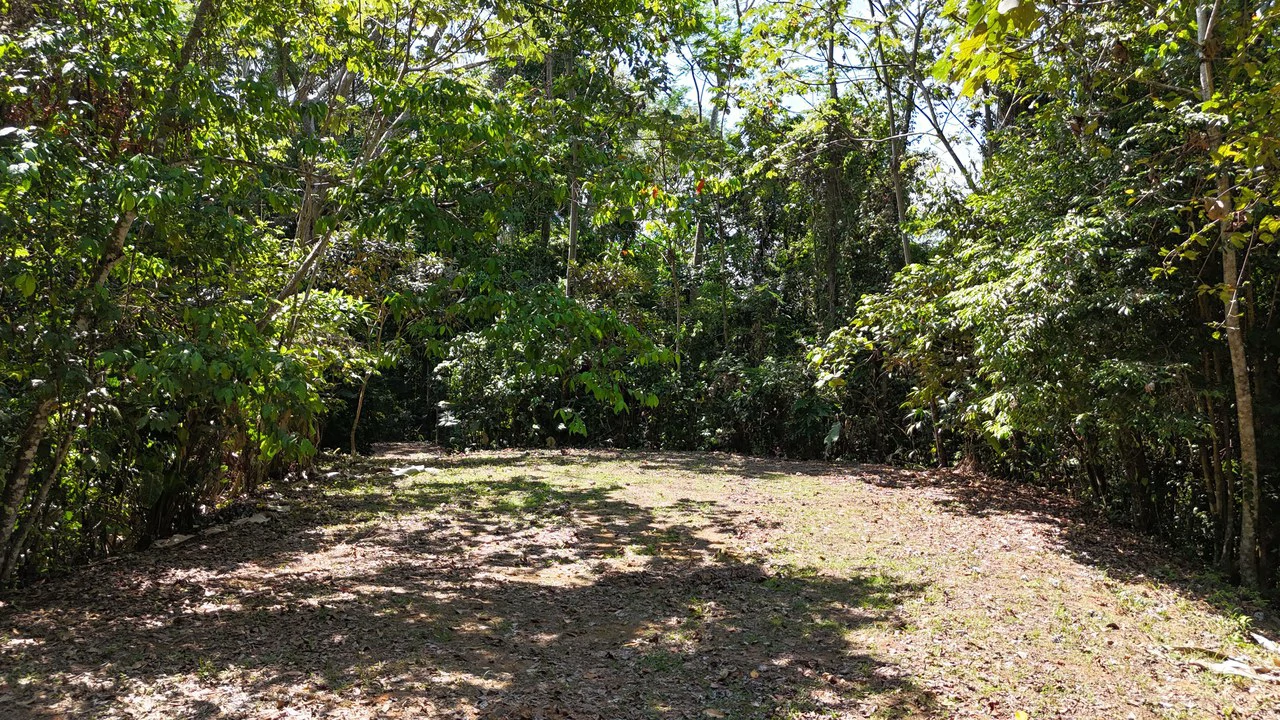 Exceptional Development Opportunity 71 acre Riverfront & Ocean View in Hatillo - Gallery image 25