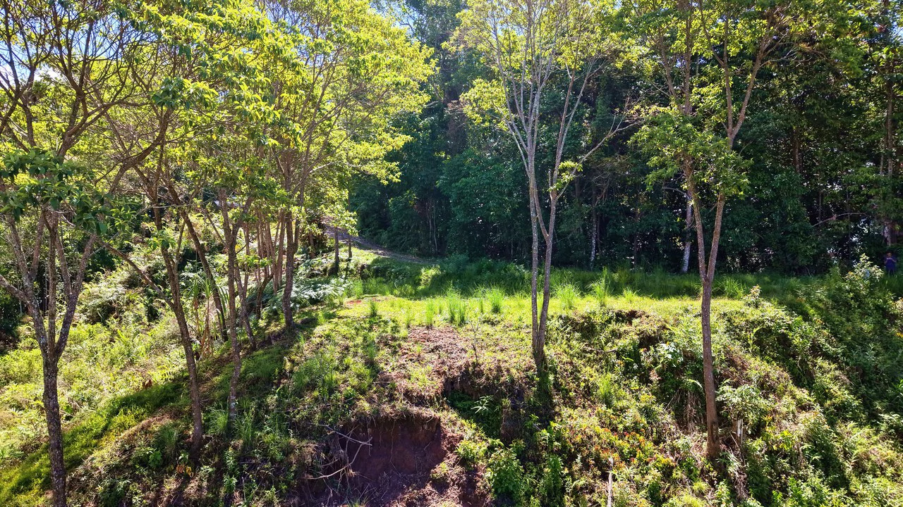 Mountain Home Construction Site For Sale in Guadalupe - Gallery image 2