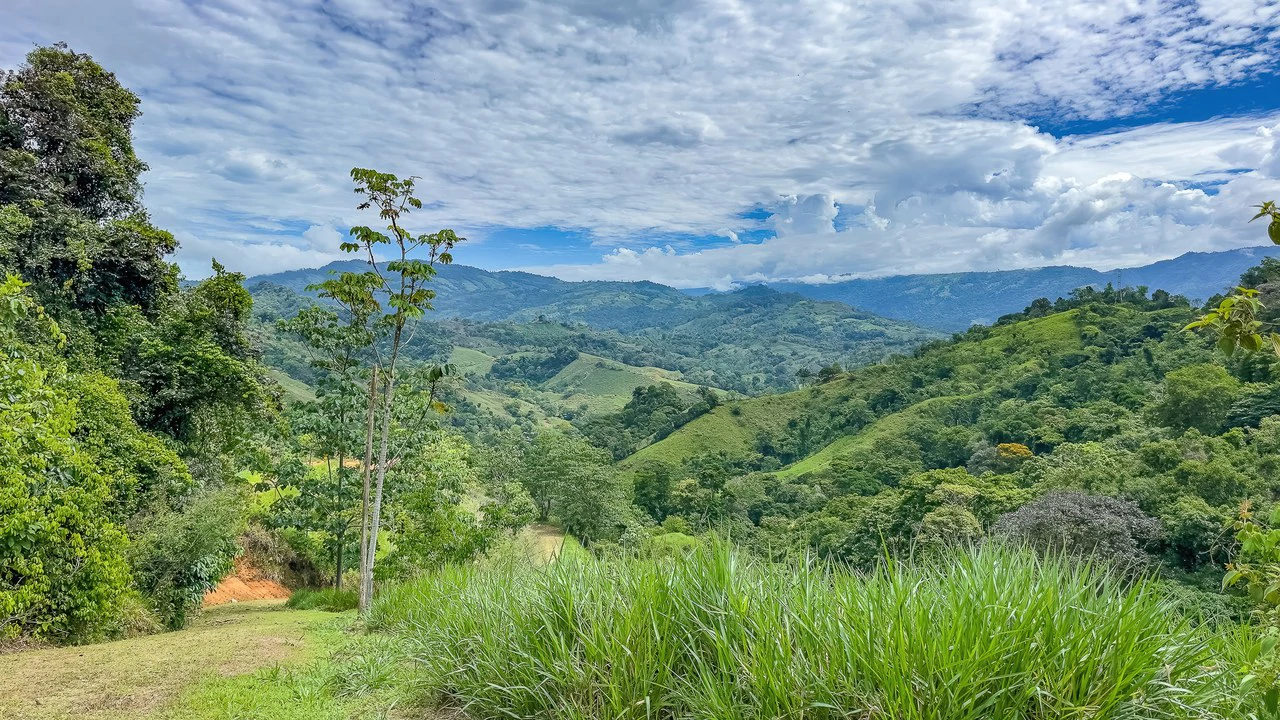 60+ Hectares in Platanillo | Own Your Own Mountain in Costa Rica - Gallery image 21