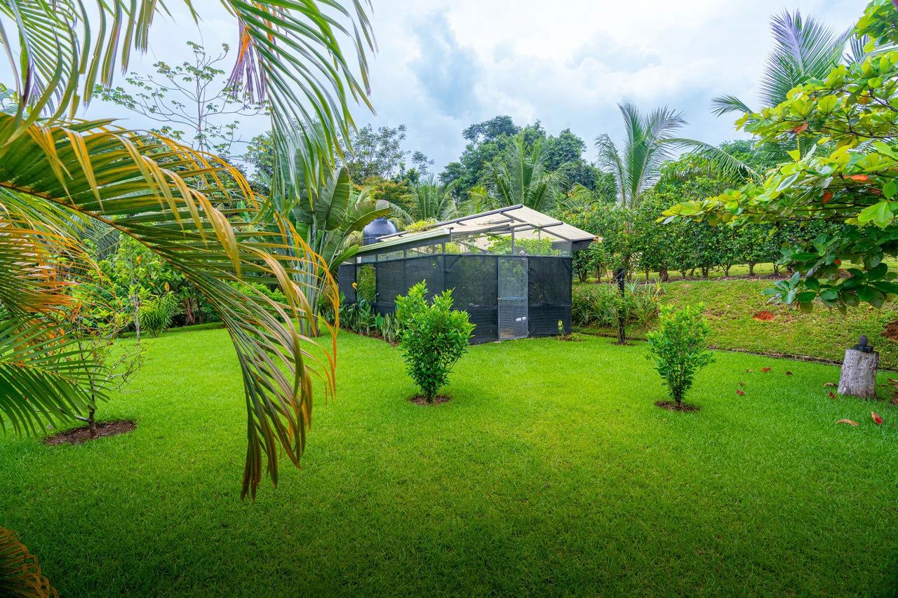 Outstanding Garden Treasure in Ojochal, Modern 4 bedroom on 1 acre - Gallery image 24