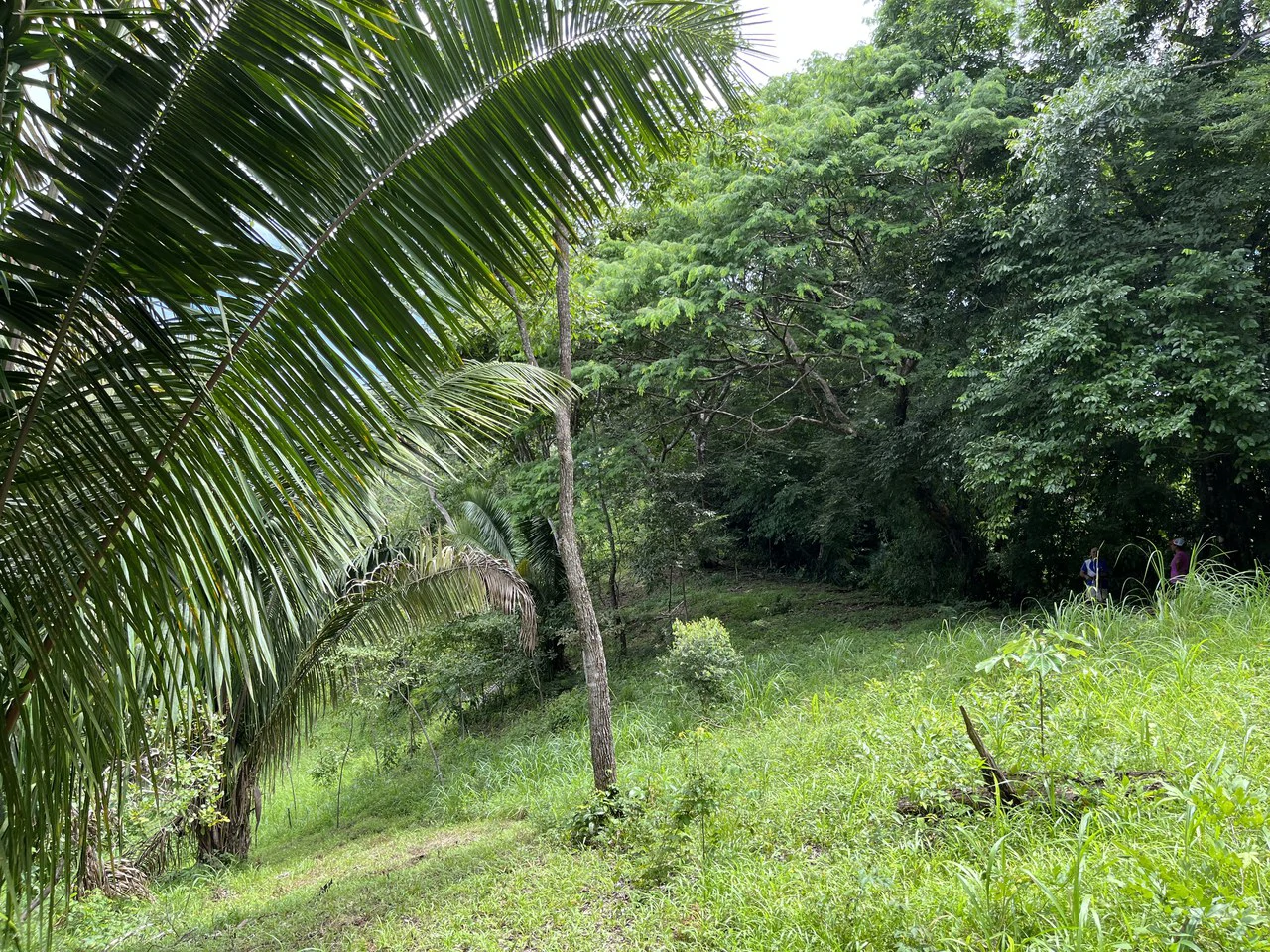 6 Acres Ready for Development in Samara - Gallery image 4