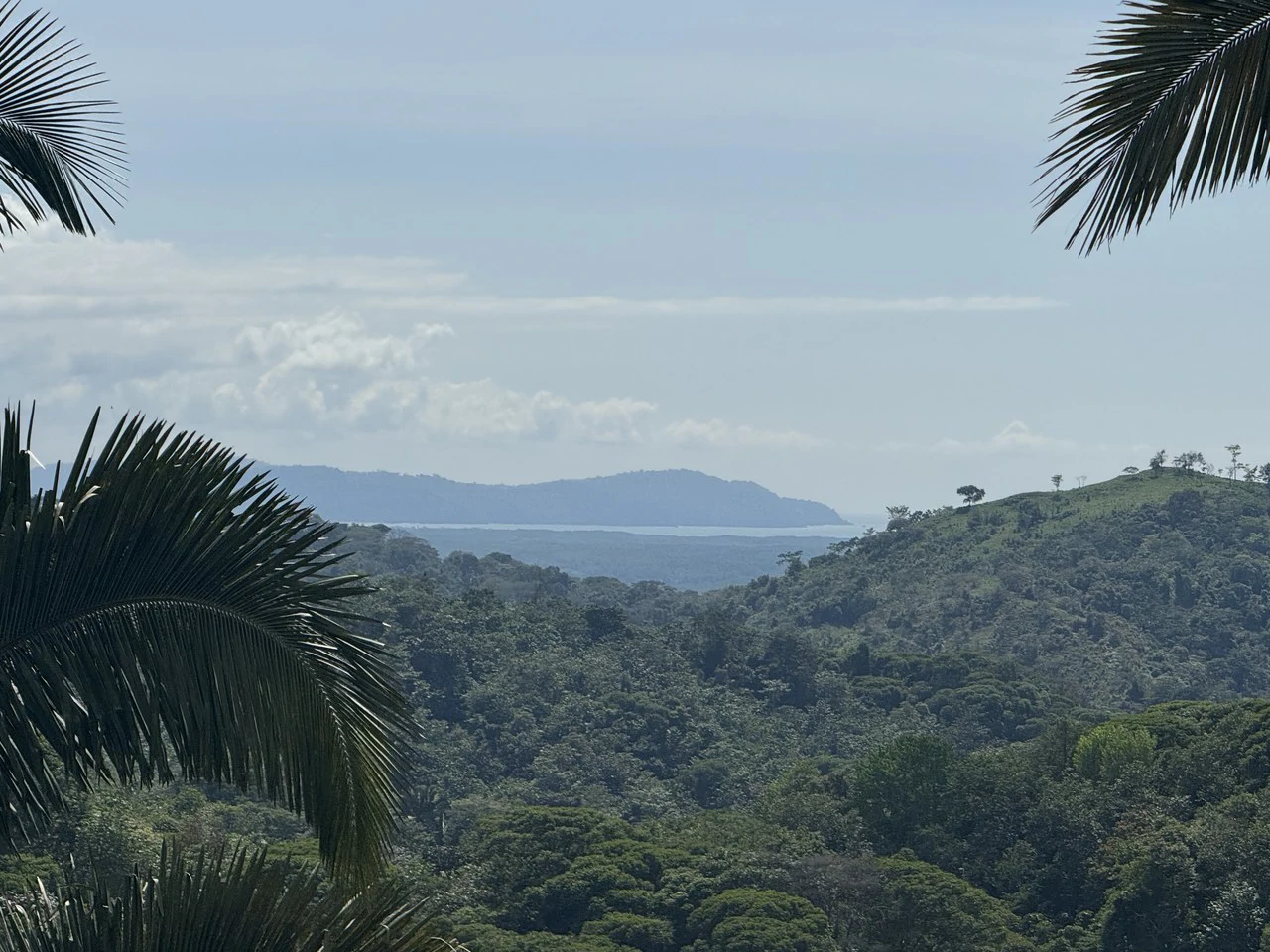 12 Acre Ocean View Farm in a Private Agricultural Community - Gallery image 4