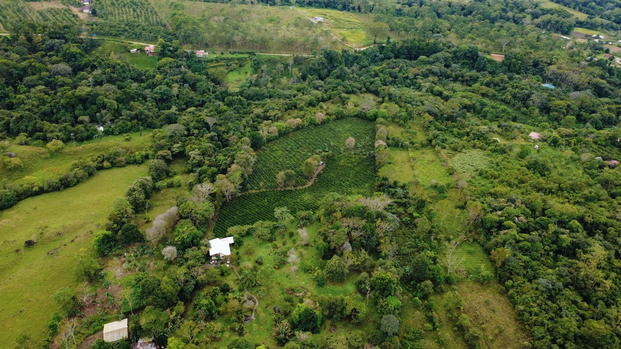 Countryside Home Construction Site For Sale in Santa Elena de San Isidro - Gallery image 6