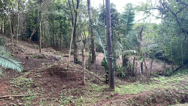 Beautiful Property for Sale in the Mountains of San Juanillo – Prime Land with Building Potential Just 10 Minutes from the Ocean - Gallery image 9
