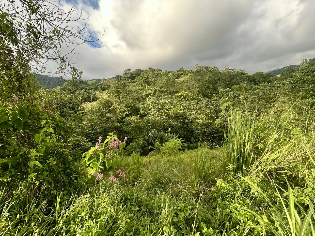 Price Reduced! Panoramic Ocean View Lot in Prestigious Phase 11 Ojochal – 2.77 Acres with Luxury 3D Home Design Included - Gallery image 37