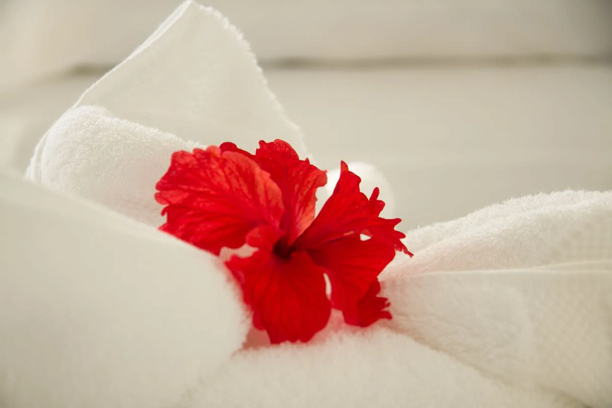 Hotel Horizontes Montezuma: Stunning Boutique Hotel in Montezuma near New Cobano Airport - Gallery image 24