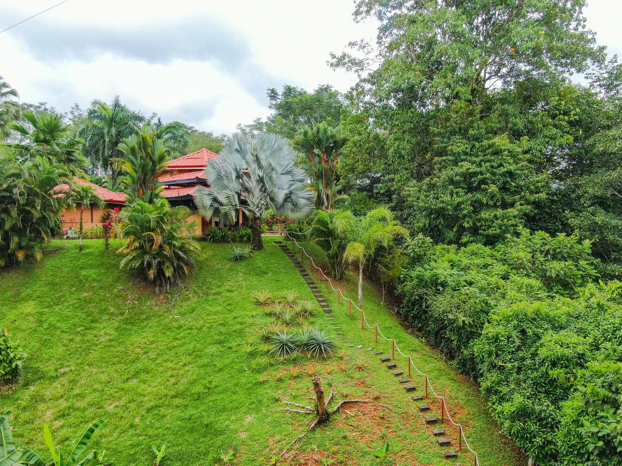 Stunning Tropical Home in Gated community with Hundreds of fruit trees: Mountain House For Sale in Naranjito - Gallery image 38