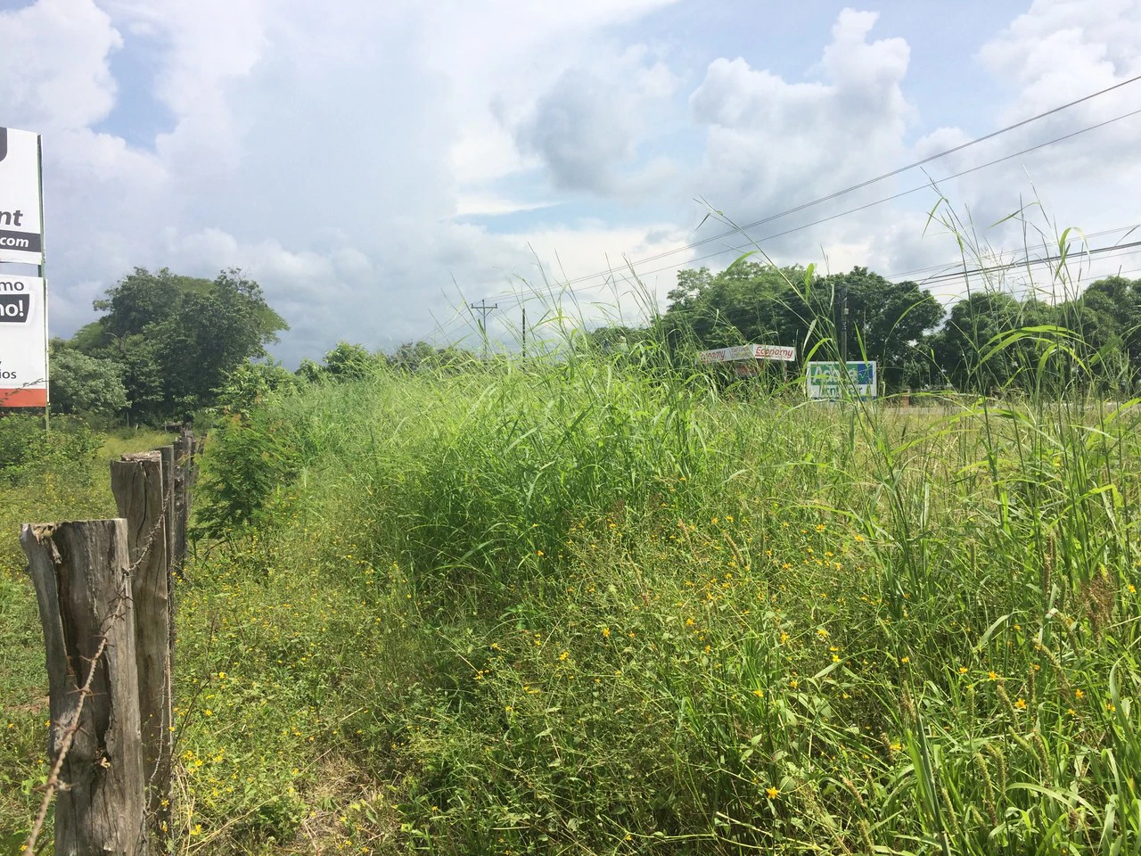 PROPERTY CLOSE TO THE AIRPORT OF LIBERIA.: Near the Coast and Countryside Development Parcel For Sale in Guardia - Gallery image 3