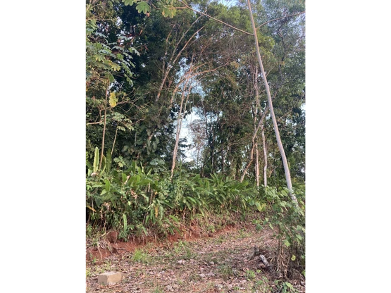 Home Construction Site For Sale in Jacó - Gallery image 10
