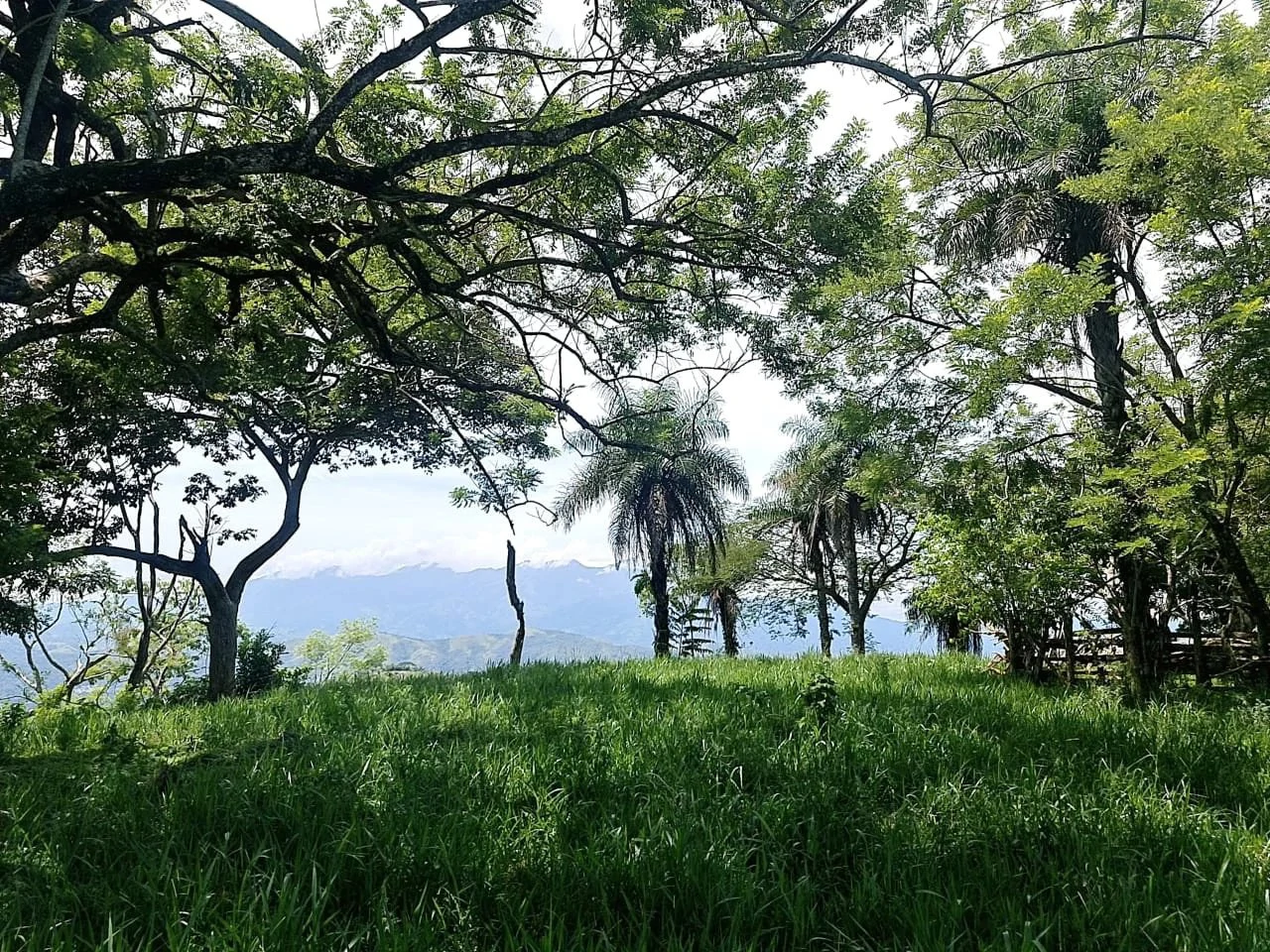 Near the Coast and Mountain Home Construction Site For Sale in Orotina y Caldera - Gallery image 19