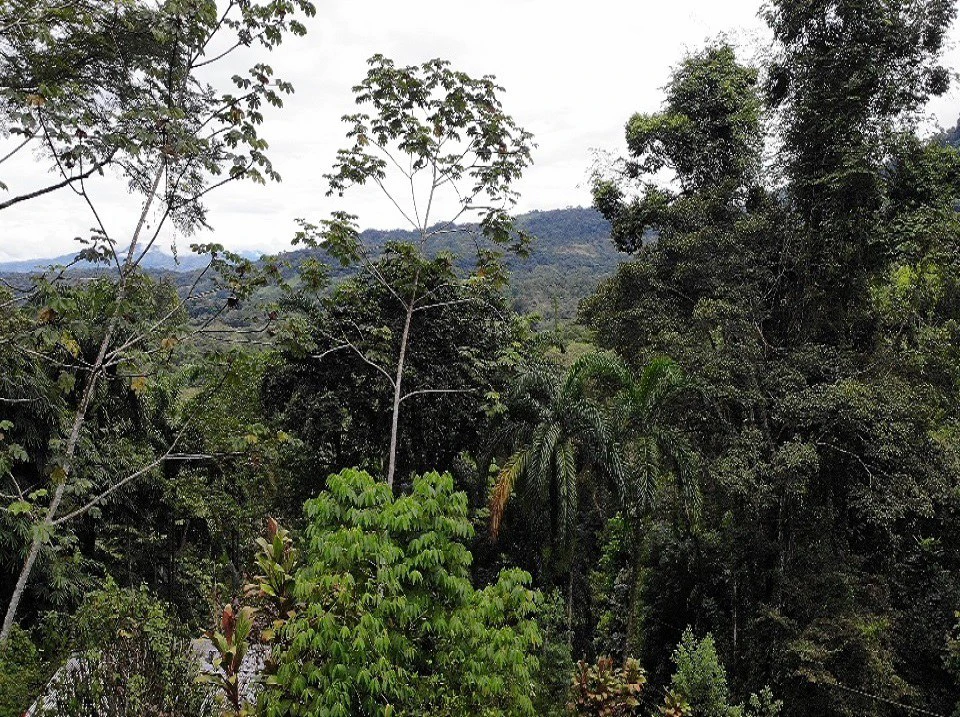 Costa Rican Retreat with Spectacular Waterfall Views - Gallery image 15