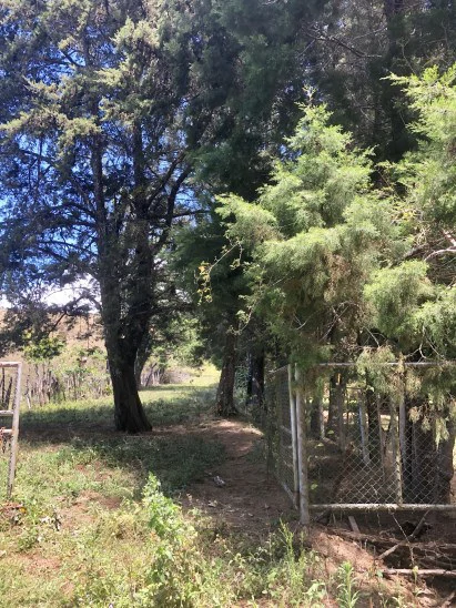 Property For Sale in Calle Zurqui - Gallery image 2