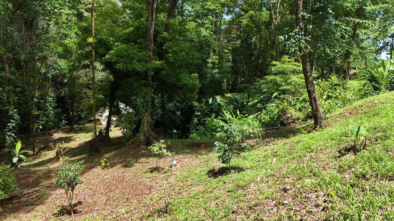 Fire Sale Investment Opportunity in Jardines del Morete | 2 Bed | 2 Bath Home with River Access - photo 12