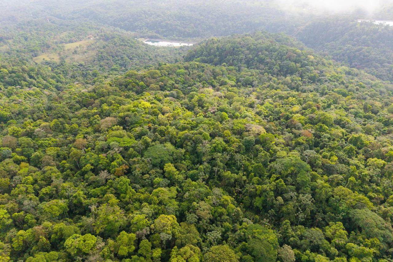 Finca Gran Bijagua: Breathtaking 10-Hectare Mountain Sanctuary in Bijagua, Costa Rica - Gallery image 9