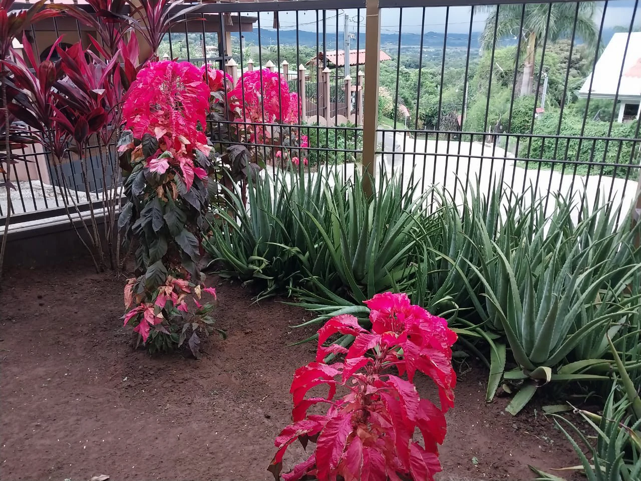 PROPIEDAD TIPO CABAÑA: Countryside Property For Sale in Atenas - Gallery image 7