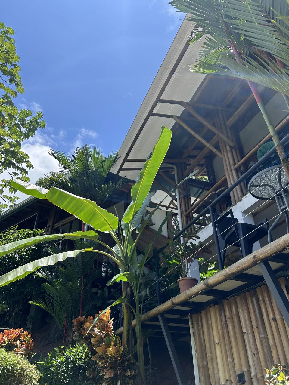 Cabinas Bambura: Cabinas Bambura: Successful Airbnb Business with Stunning Mountain & Jungle View - Gallery image 6