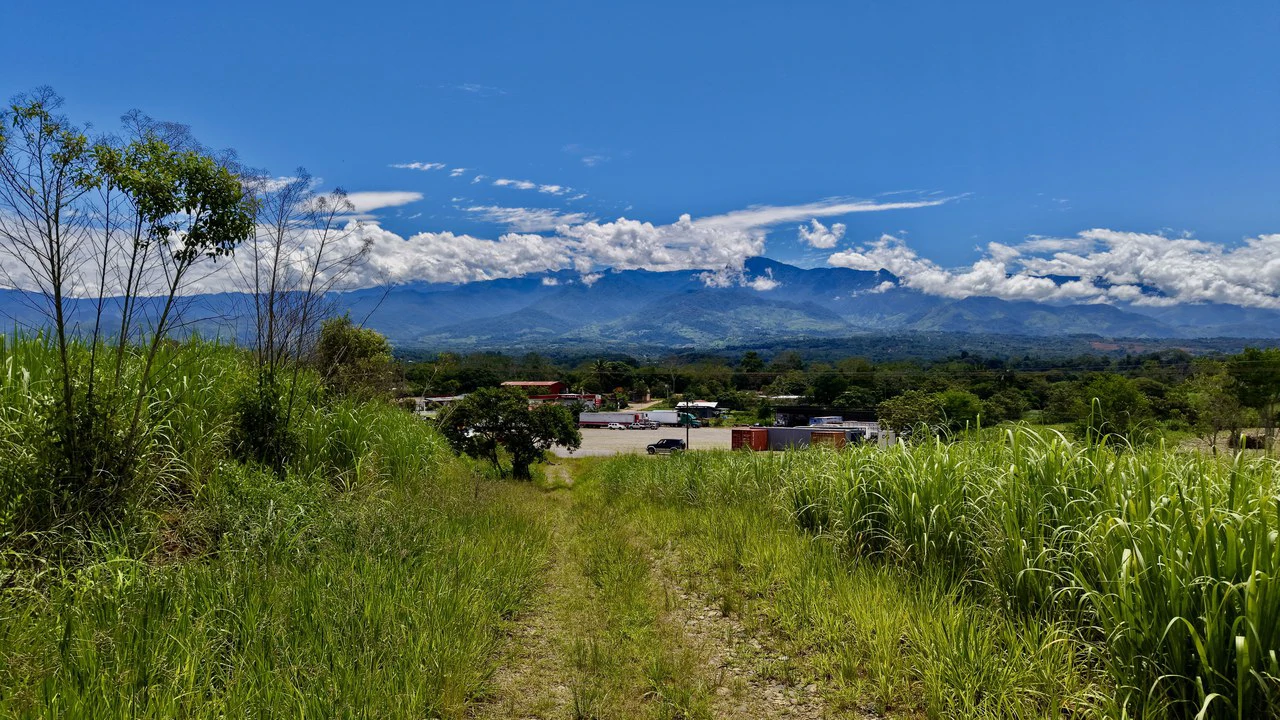 Development Parcel For Sale in Daniel Flores - Gallery image 10