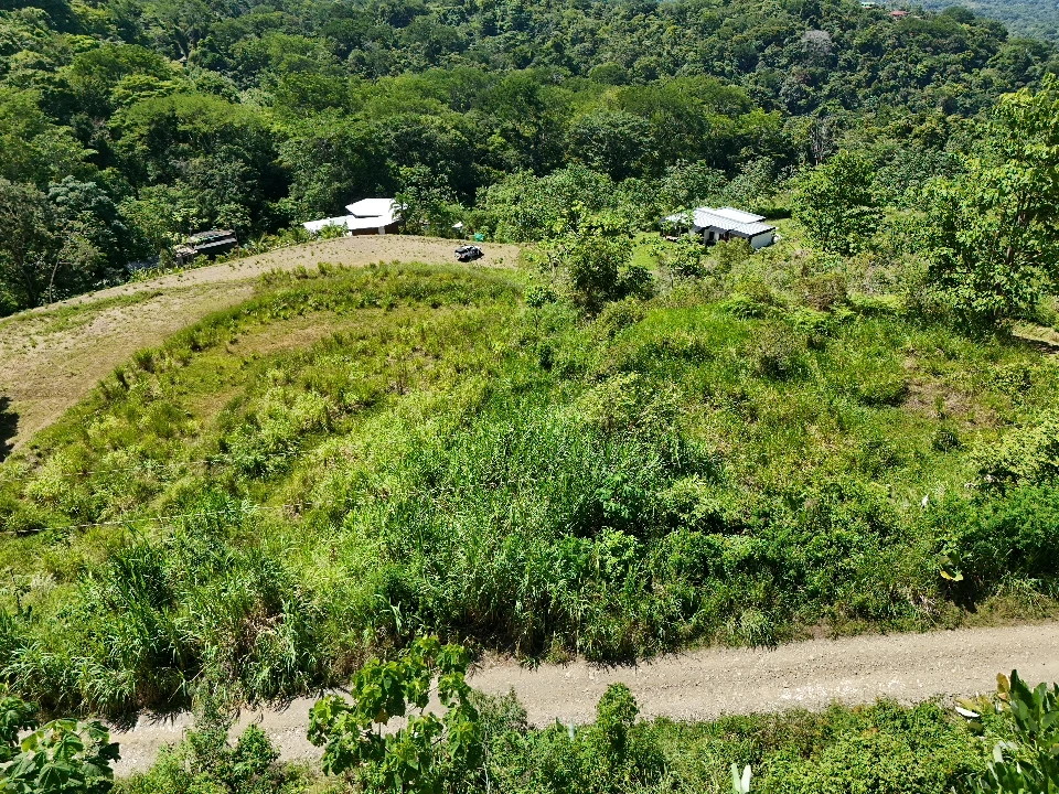 Near the Coast Home Construction Site For Sale in Ojochal - Gallery image 4