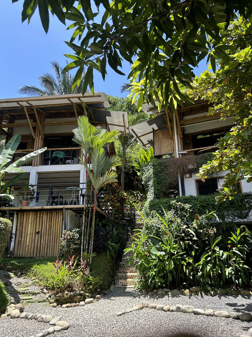 Cabinas Bambura: Cabinas Bambura: Successful Airbnb Business with Stunning Mountain & Jungle View - Gallery image 10