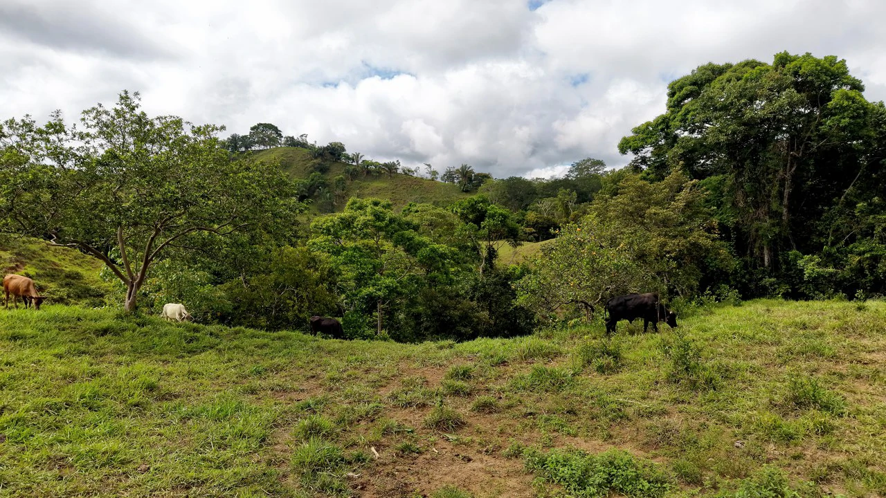 Countryside Home Construction Site For Sale in Centro de Pérez Zeledón - Gallery image 19