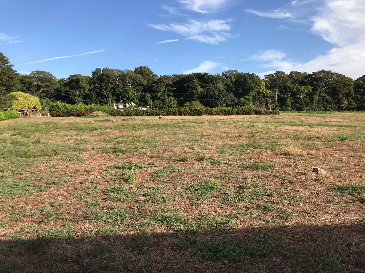 Barrio Limón in Santa Cruz – Excellent future location for a residential project with 130 water connections, investment opportunity - Gallery image 2