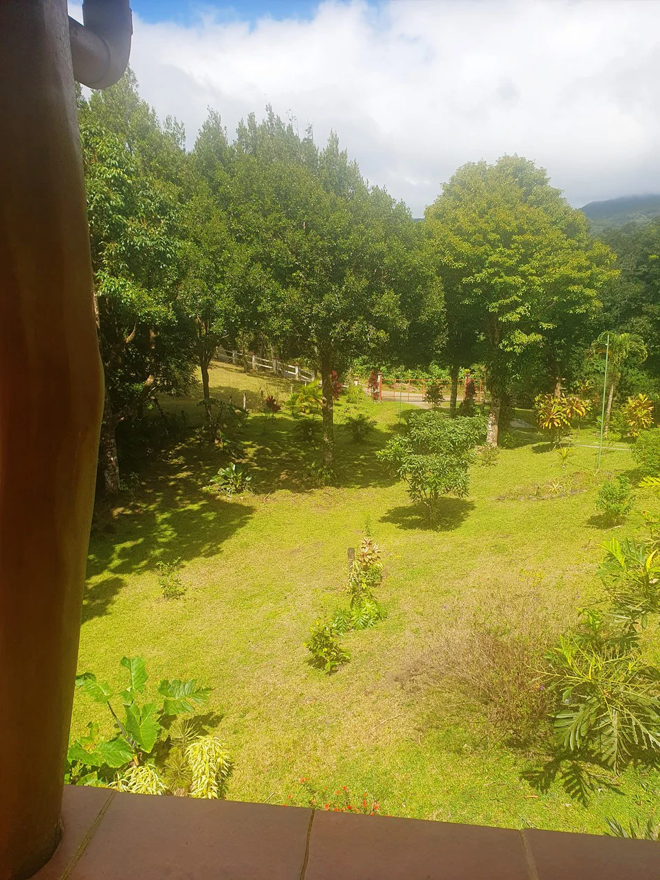 Lakeview Serenity Estate - Two Family Home: Stunning Lakeview Two-Family Home on 3,600 m² – Privacy, Nature & Income Potential - Gallery image 9