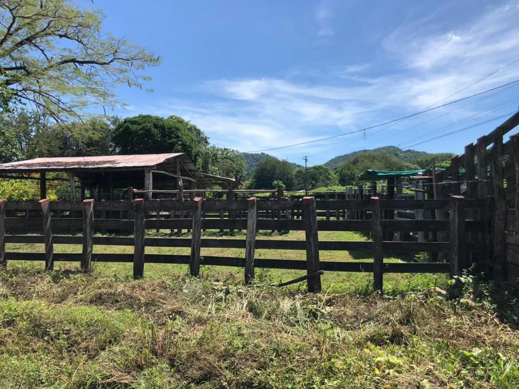 Huge dream Cattle farm for sale with 2 houses close to the Gulf of Nicoya, Guanacaste, Costa Rica - Gallery image 19