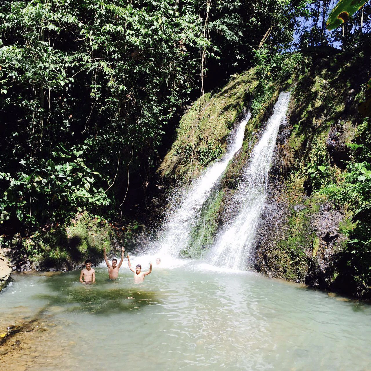 Serene Jungle Farm in Limon Province - Gallery image 13