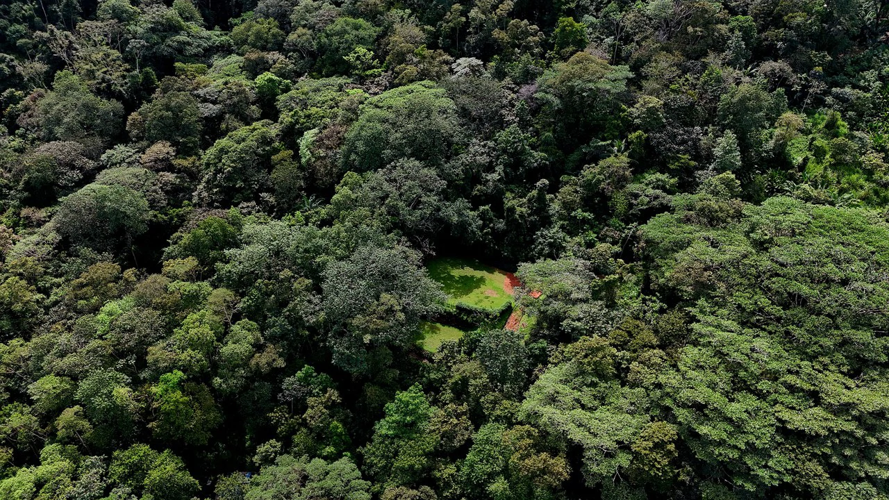 Tropical Paradise in Uvita: 939 sqm Property with Dual Building Sites, 5 Minutes from the Beach - Gallery image 12