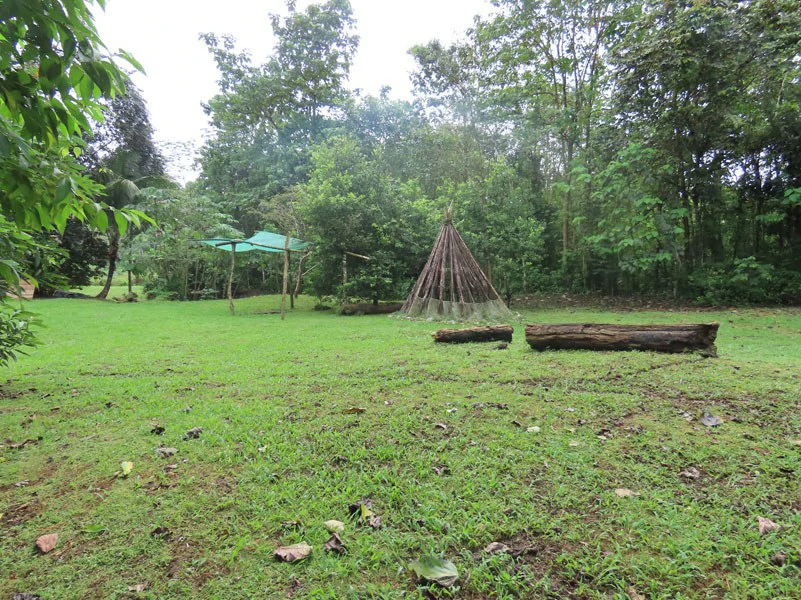 Land For Sale in Dos Brazos, Puerto Jimenez, Ideal For Home Surrounded by Nature - Gallery image 7