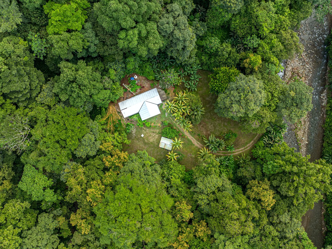 Tropical Hideaway – 7 Acres of Secluded Riverfront with a 3-Bedroom Home: Mountain House For Sale in Bahía Ballena - Gallery image 29