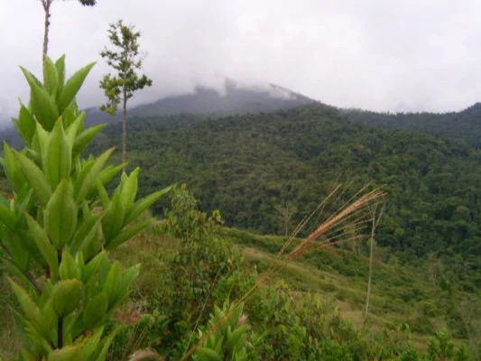 Stunning 17-Hectare Finca in Santa Elena - Gallery image 3