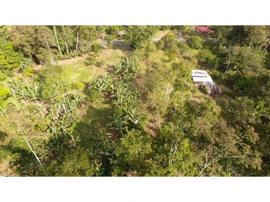 Finca Nanabri: Farm and Ecotourism Land for Sale in Penshurst - Gallery image 4