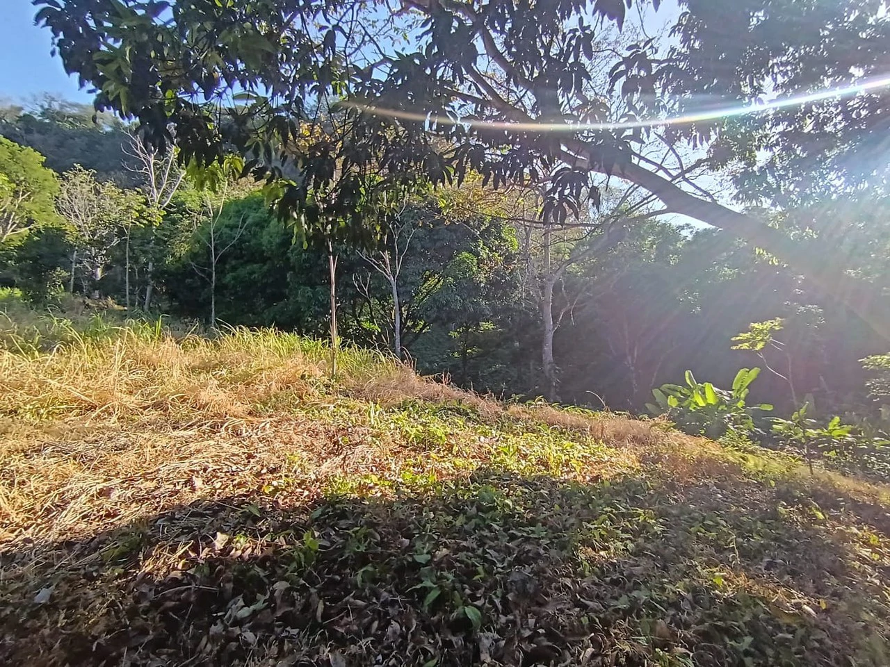 Property for sale in Ciudad Colon San José Costa Rica - Gallery image 5