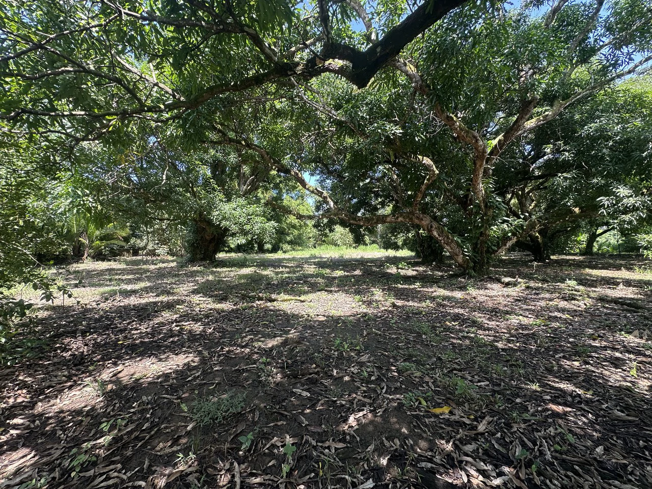 Development Parcel For Sale in Portalon - Gallery image 13