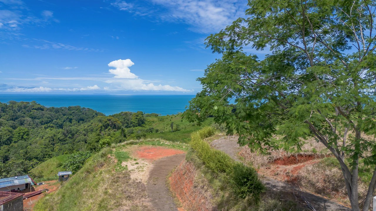 Luxury Ocean View Lot in Piñuelas - Premier Building Site - Gallery image 36