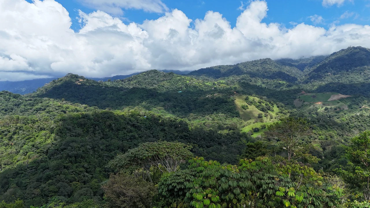 Stunning Ocean, Mountain, and Valley View Property in Tres Rios - Gallery image 8